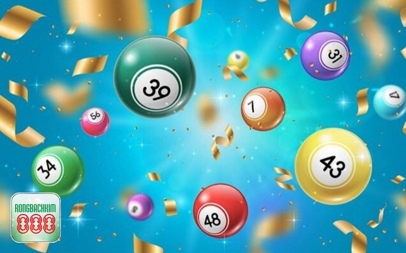 Rồng bạch kim bạc nhớ - Khái niệm rồng bạch kim và bạc nhớ Rồng bạch kim bạc nhớ - Khái niệm rồng bạch kim và bạc nhớ