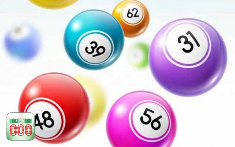 Soi cầu rồng bạch kim - Quan sát bảng loto và giải đặc biệt Soi cầu rồng bạch kim - Quan sát bảng loto và giải đặc biệt